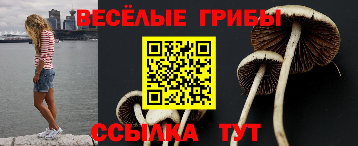 Галлюциногенные грибы Psilocybe  Вход с VPN  Красноуфимск 